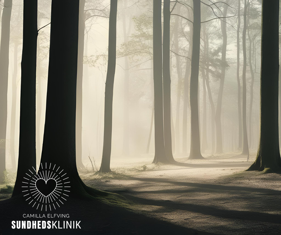 Stille skovlandskab i morgendis med blødt lys mellem træerne. Symboliserer fornemmelsen af at være fanget i noget, man ikke kan forklare – men som kroppen mærker.